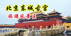 色女操骚逼中国北京-东城古宫旅游风景区